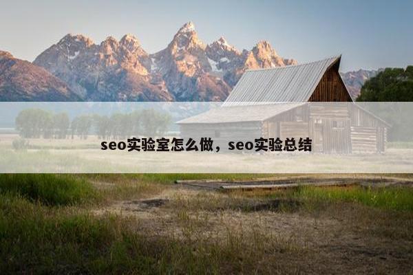 seo实验室怎么做，seo实验总结