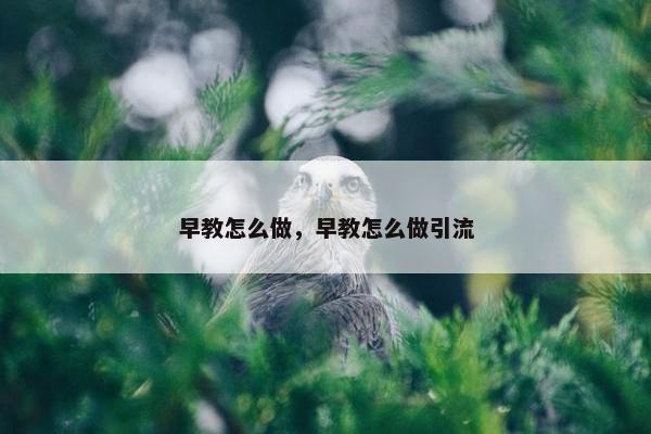 早教怎么做，早教怎么做引流