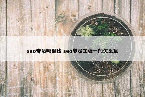 seo专员哪里找 seo专员工资一般怎么算