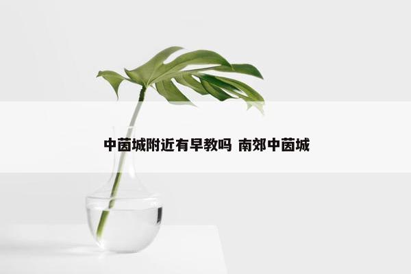 中茵城附近有早教吗 南郊中茵城