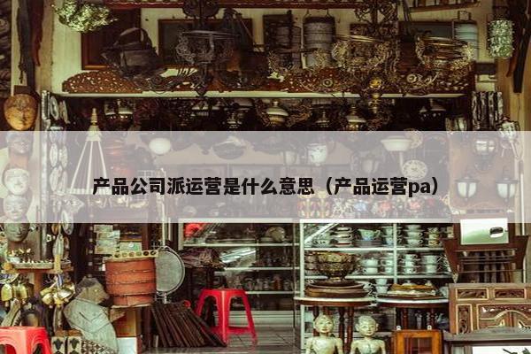 产品公司派运营是什么意思（产品运营pa）