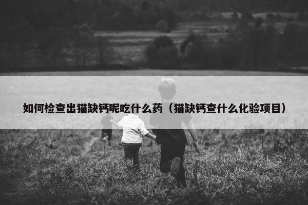 如何检查出猫缺钙呢吃什么药（猫缺钙查什么化验项目）