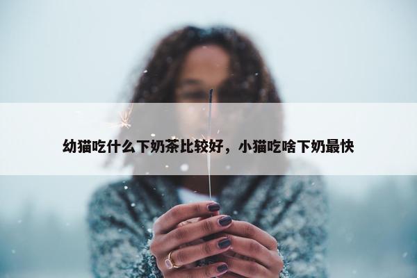 幼猫吃什么下奶茶比较好，小猫吃啥下奶最快