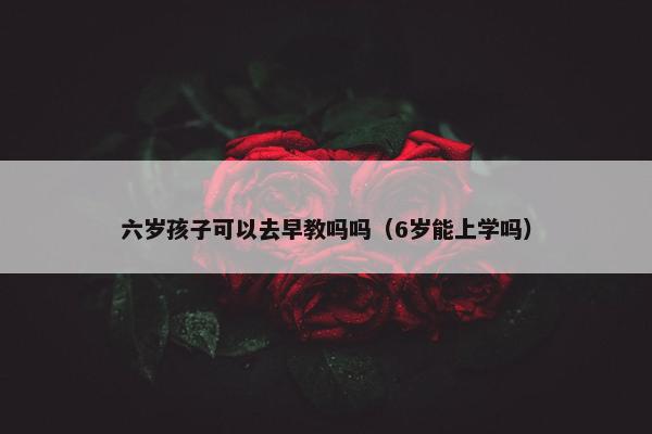 六岁孩子可以去早教吗吗（6岁能上学吗）