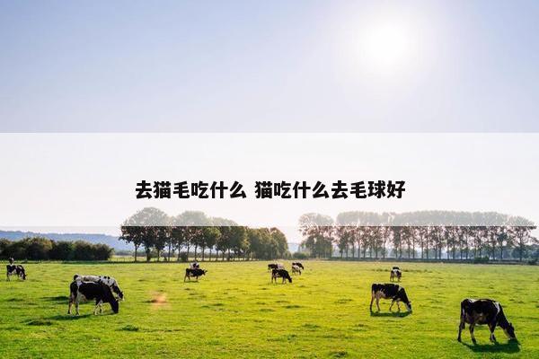 去猫毛吃什么 猫吃什么去毛球好