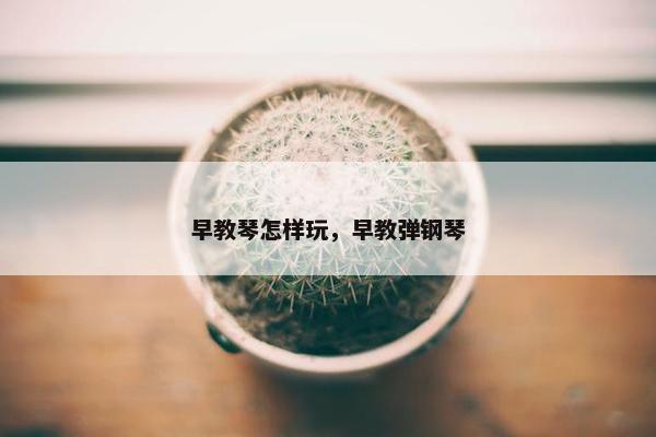 早教琴怎样玩，早教弹钢琴