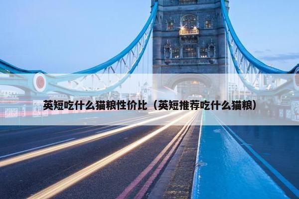 英短吃什么猫粮性价比（英短推荐吃什么猫粮）