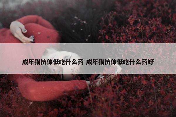 成年猫抗体低吃什么药 成年猫抗体低吃什么药好