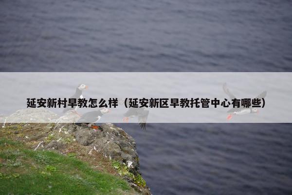 延安新村早教怎么样（延安新区早教托管中心有哪些）