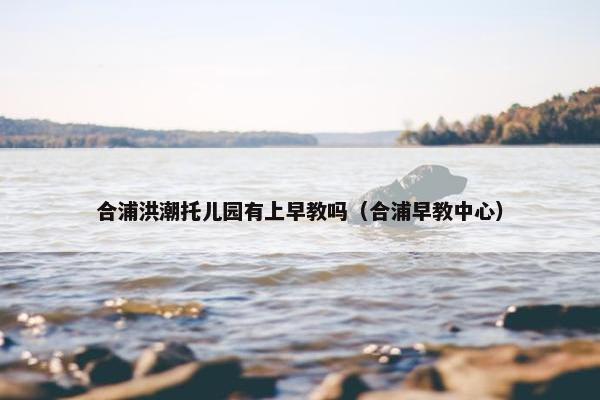 合浦洪潮托儿园有上早教吗（合浦早教中心）