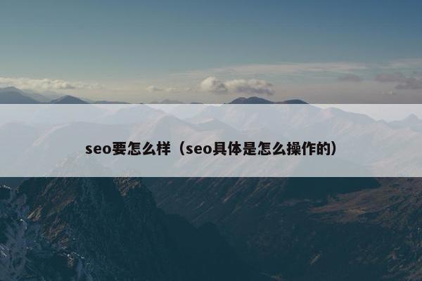 seo要怎么样（seo具体是怎么操作的）