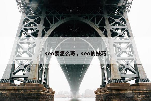 seo要怎么写，seo的技巧