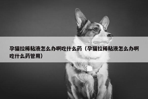 孕猫拉稀粘液怎么办啊吃什么药（孕猫拉稀粘液怎么办啊吃什么药管用）