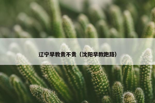 辽宁早教贵不贵（沈阳早教跑路）