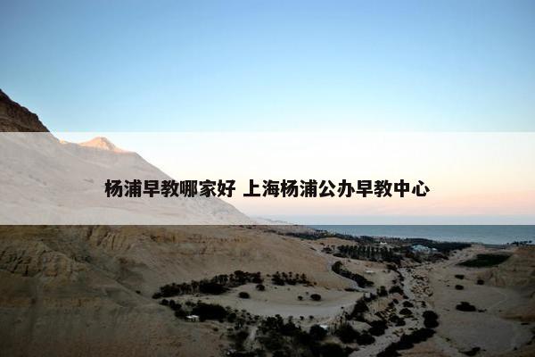 杨浦早教哪家好 上海杨浦公办早教中心