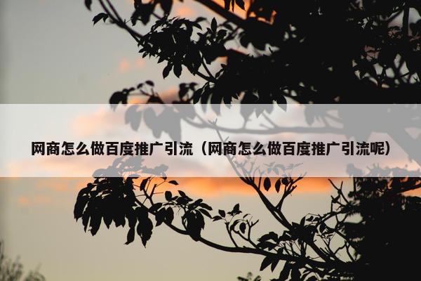 网商怎么做百度推广引流（网商怎么做百度推广引流呢）