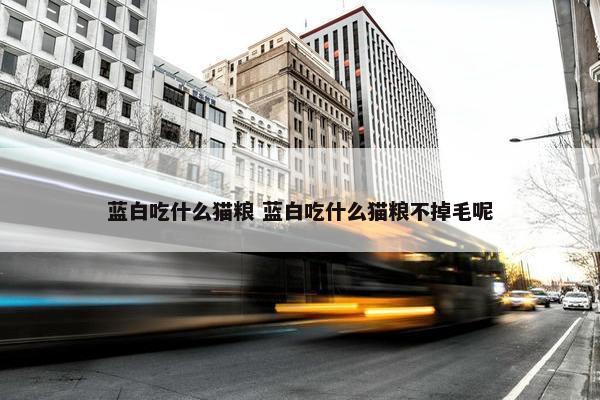 蓝白吃什么猫粮 蓝白吃什么猫粮不掉毛呢