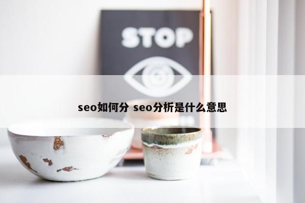 seo如何分 seo分析是什么意思