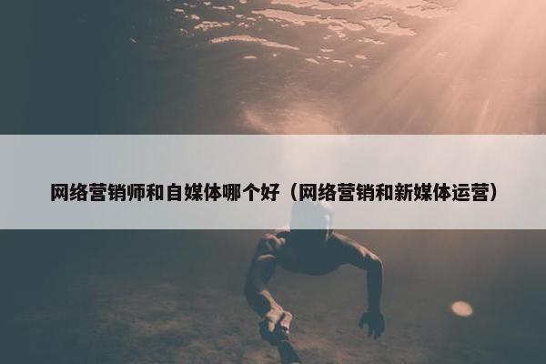 网络营销师和自媒体哪个好（网络营销和新媒体运营）