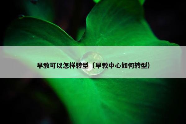 早教可以怎样转型（早教中心如何转型）