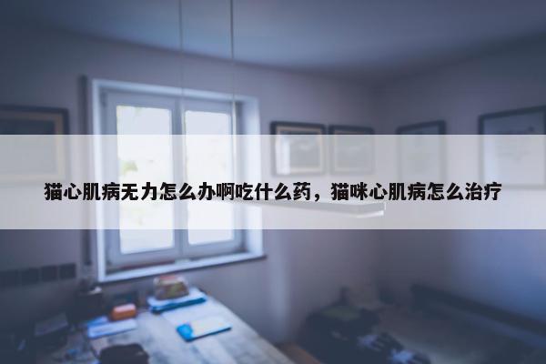 猫心肌病无力怎么办啊吃什么药，猫咪心肌病怎么治疗