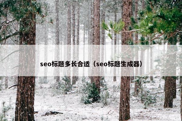 seo标题多长合适（seo标题生成器）