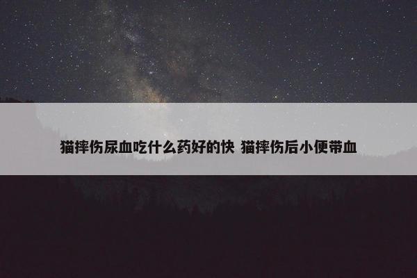 猫摔伤尿血吃什么药好的快 猫摔伤后小便带血