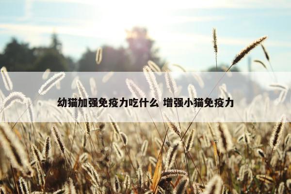 幼猫加强免疫力吃什么 增强小猫免疫力