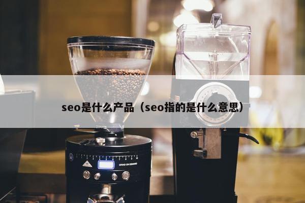 seo是什么产品（seo指的是什么意思）