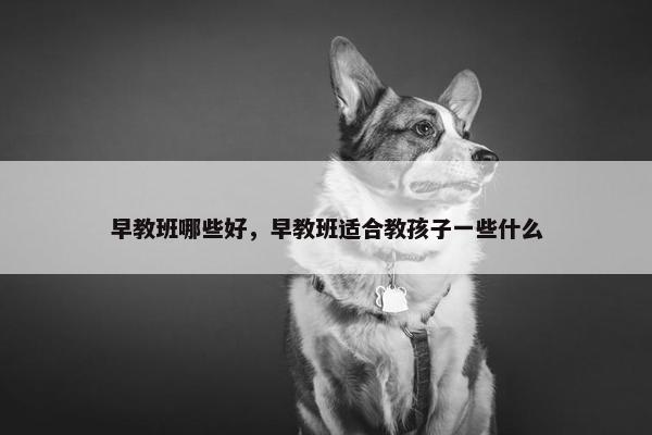 早教班哪些好，早教班适合教孩子一些什么