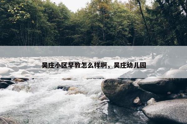 吴庄小区早教怎么样啊，吴庄幼儿园