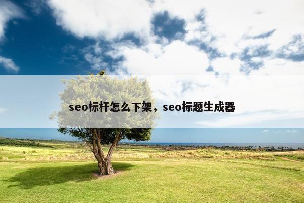 seo标杆怎么下架，seo标题生成器