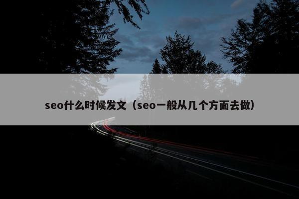 seo什么时候发文（seo一般从几个方面去做）