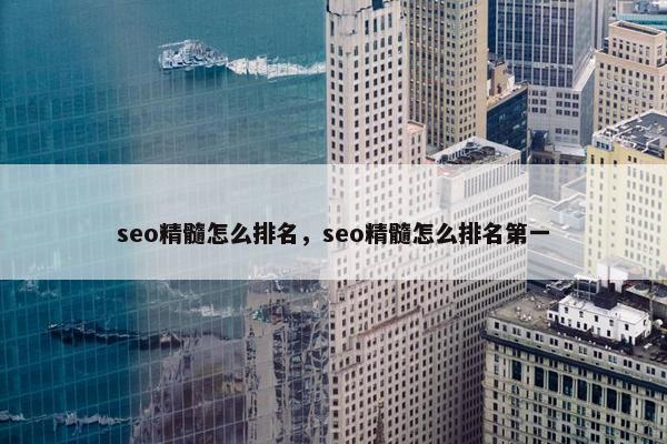 seo精髓怎么排名，seo精髓怎么排名第一