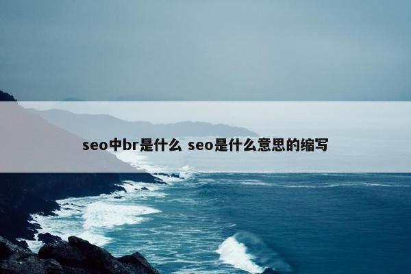 seo中br是什么 seo是什么意思的缩写