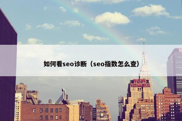 如何看seo诊断（seo指数怎么查）