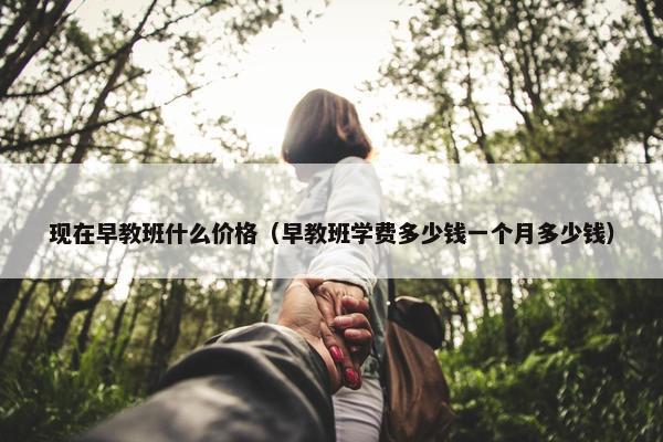 现在早教班什么价格（早教班学费多少钱一个月多少钱）