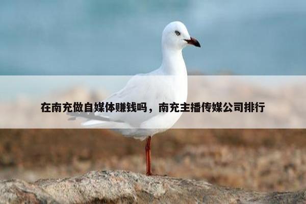 在南充做自媒体赚钱吗，南充主播传媒公司排行