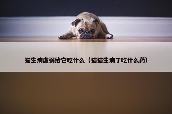 猫生病虚弱给它吃什么（猫猫生病了吃什么药）