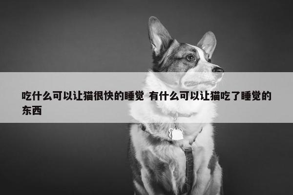 吃什么可以让猫很快的睡觉 有什么可以让猫吃了睡觉的东西