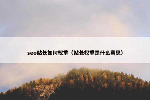 seo站长如何权重（站长权重是什么意思）