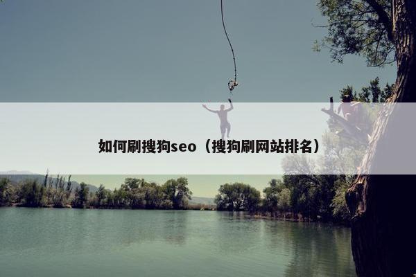 如何刷搜狗seo（搜狗刷网站排名）