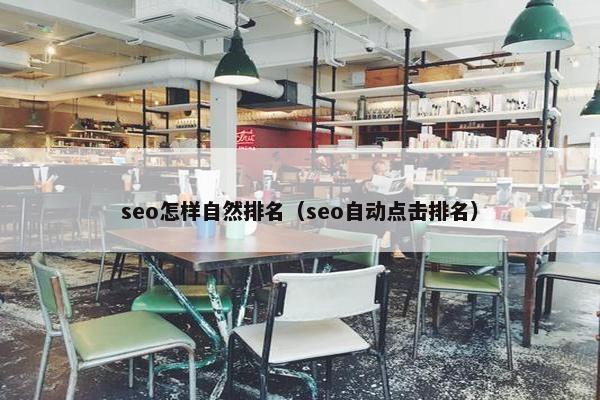 seo怎样自然排名（seo自动点击排名）