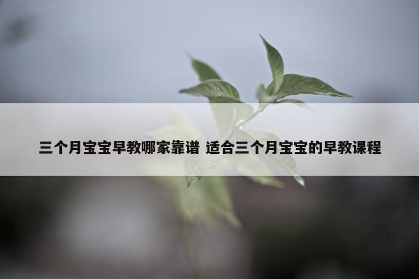 三个月宝宝早教哪家靠谱 适合三个月宝宝的早教课程