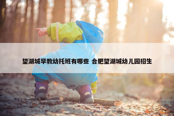 望湖城早教幼托班有哪些 合肥望湖城幼儿园招生