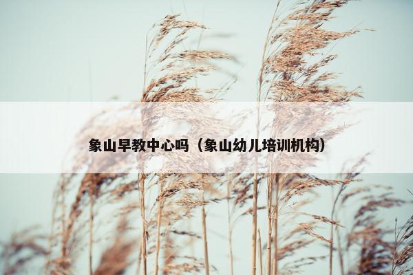 象山早教中心吗（象山幼儿培训机构）