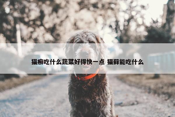 猫癣吃什么蔬菜好得快一点 猫藓能吃什么