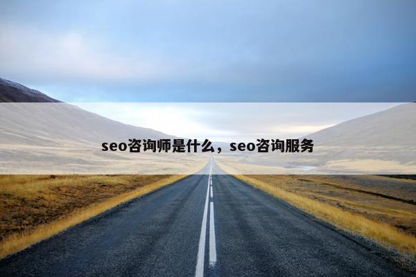 seo咨询师是什么，seo咨询服务