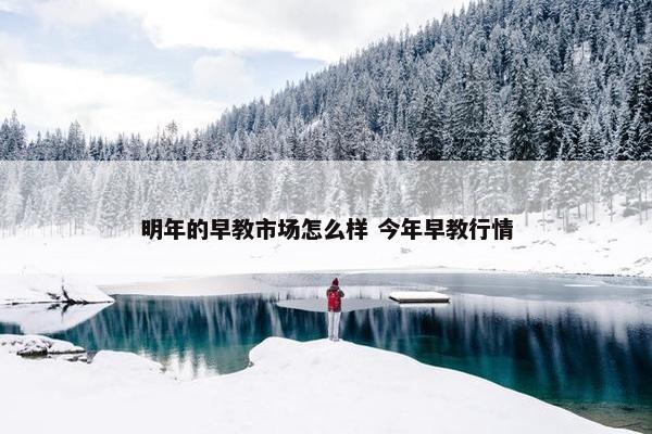 明年的早教市场怎么样 今年早教行情