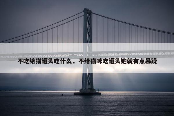 不吃给猫罐头吃什么，不给猫咪吃罐头她就有点暴躁